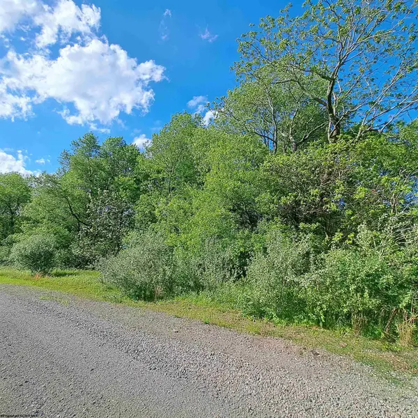 TBD Hudson Mill Road, Albright, WV 26519