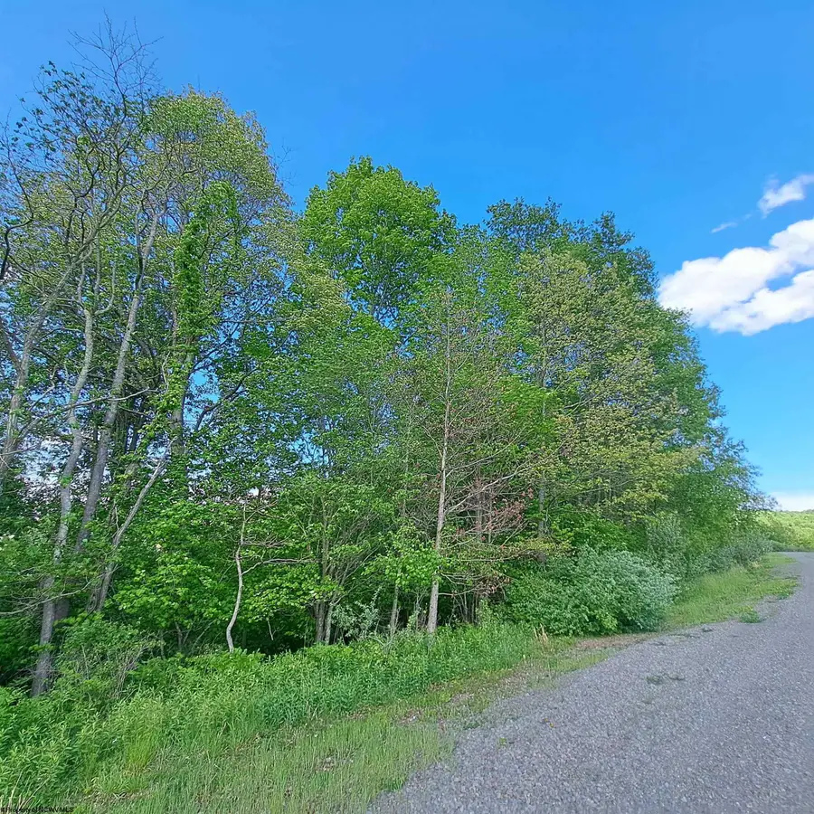 TBD Hudson Mill Road, Albright, WV 26519 - #2