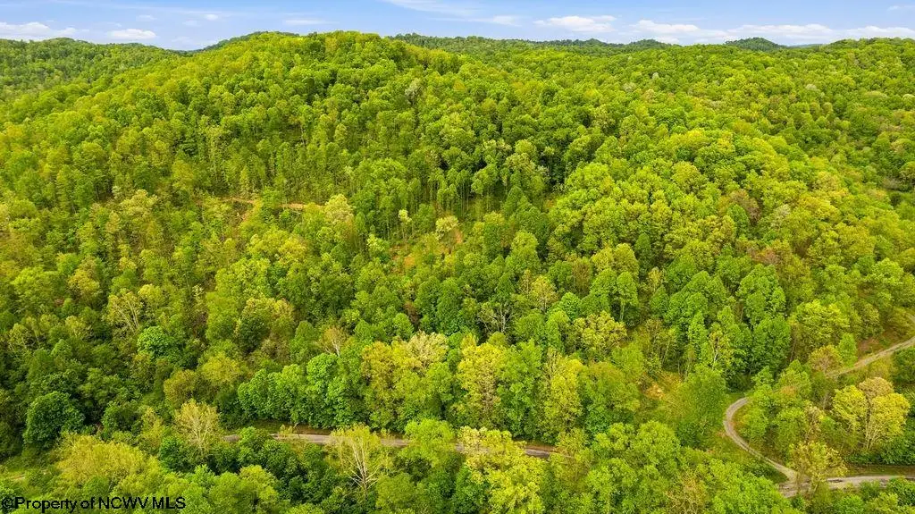 TBD Rock Camp Road, Wallace, WV 26448 - #1