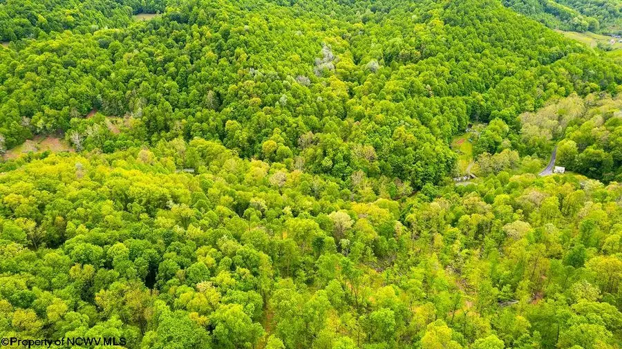 TBD Rock Camp Road, Wallace, WV 26448 - #3