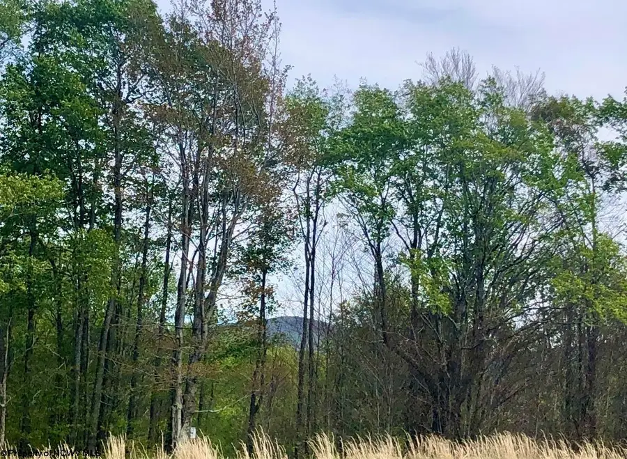 Lot 7 High Meadow Drive, Davis, WV 26260 - #3