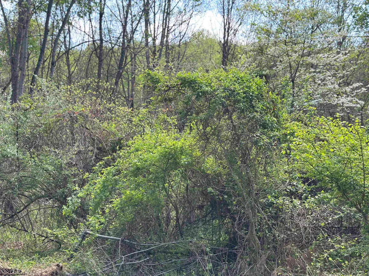 TBD Rush Road, Carmichaels, PA 15320 - #1