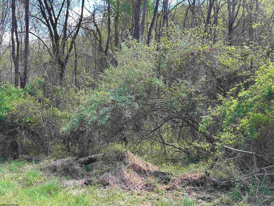 TBD Rush Road, Carmichaels, PA 15320 - #3