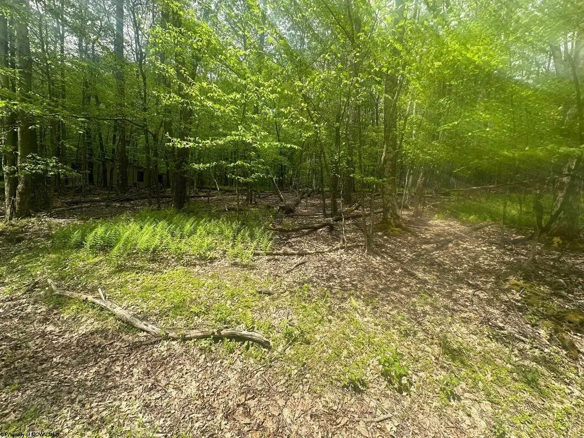 Lot 197 Woodbine Drive, Terra Alta, WV 26764 - #1