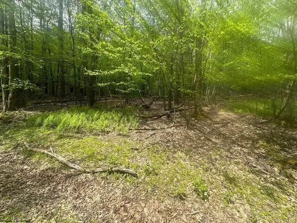 Lot 197 Woodbine Drive, Terra Alta, WV 26764