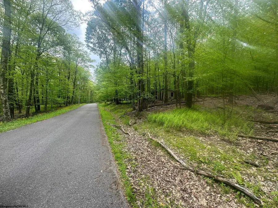 Lot 197 Woodbine Drive, Terra Alta, WV 26764 - #3