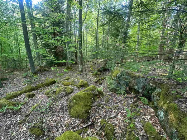 Lot 4 Tuscan Ridge Road, Davis, WV 26260