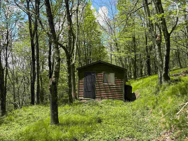 1019 Thunderstruck Road, Harman, WV 26270