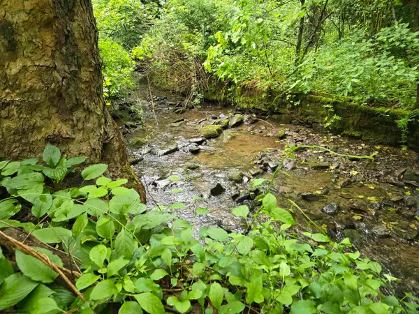136 Birch Hollow Road, Morgantown, WV 26508