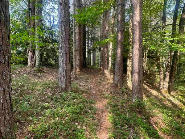 Lot 70 Monte Carlo Court, Davis, WV 26260