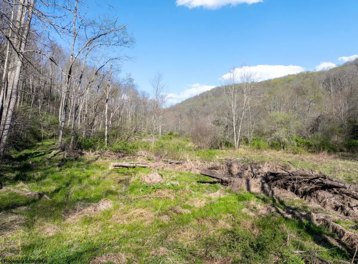 Lot 1 Squires Run Road, Reedsville, WV 26547 - #1
