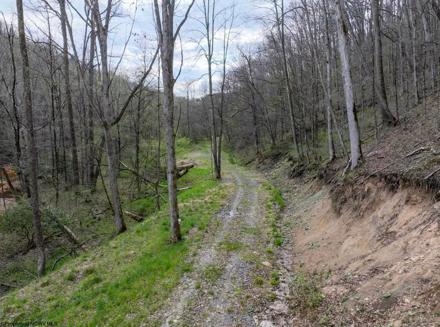 Lot 1 Squires Run Road, Reedsville, WV 26547 - #2