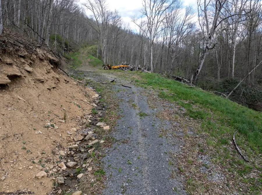 Lot 1 Squires Run Road, Reedsville, WV 26547 - #3