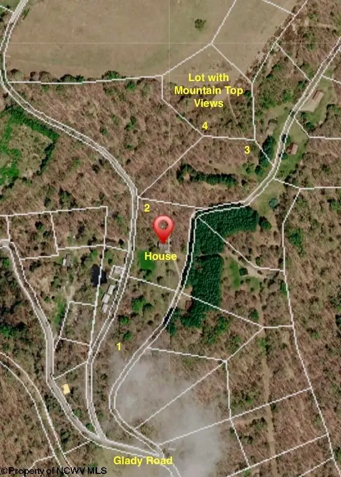 199 Whitetail Road, Glady, WV 26268 - #2