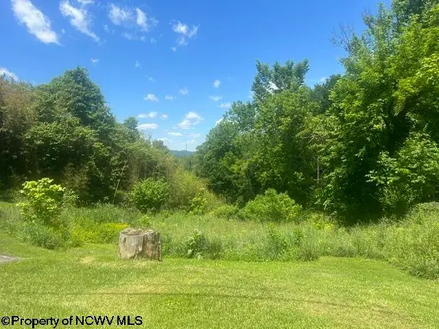1168 Boulevard Avenue, Fairmont, WV 26554 - #1