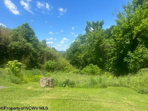1168 Boulevard Avenue, Fairmont, WV 26554