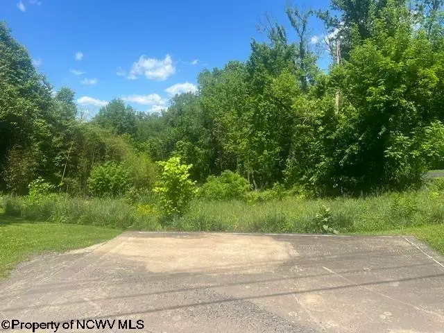 1168 Boulevard Avenue, Fairmont, WV 26554 - #3
