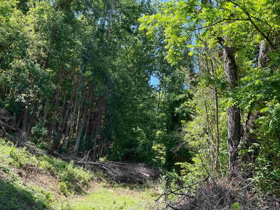 TBD Sandy Drive, Grafton, WV 26354 - #3