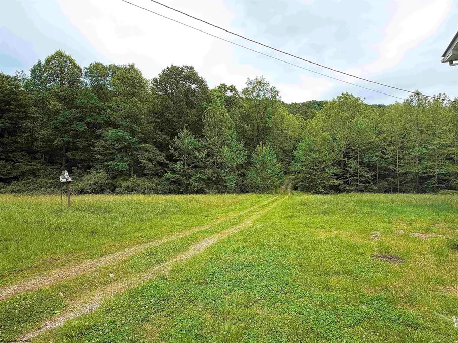973 Bonnett Hollow, Glenville, WV 26351 - #2