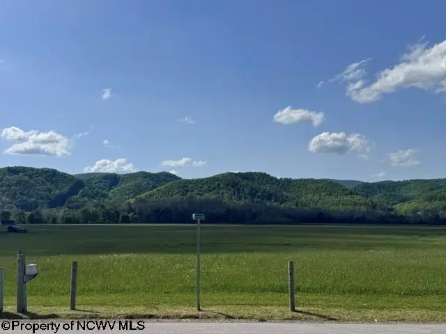 TBD Shaffer's Run Road, Mill Creek, WV 26280 - #1