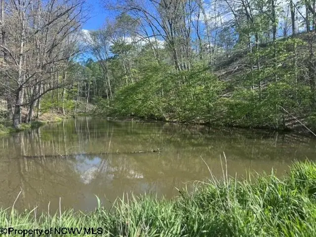 TBD Shaffer's Run Road, Mill Creek, WV 26280 - #3