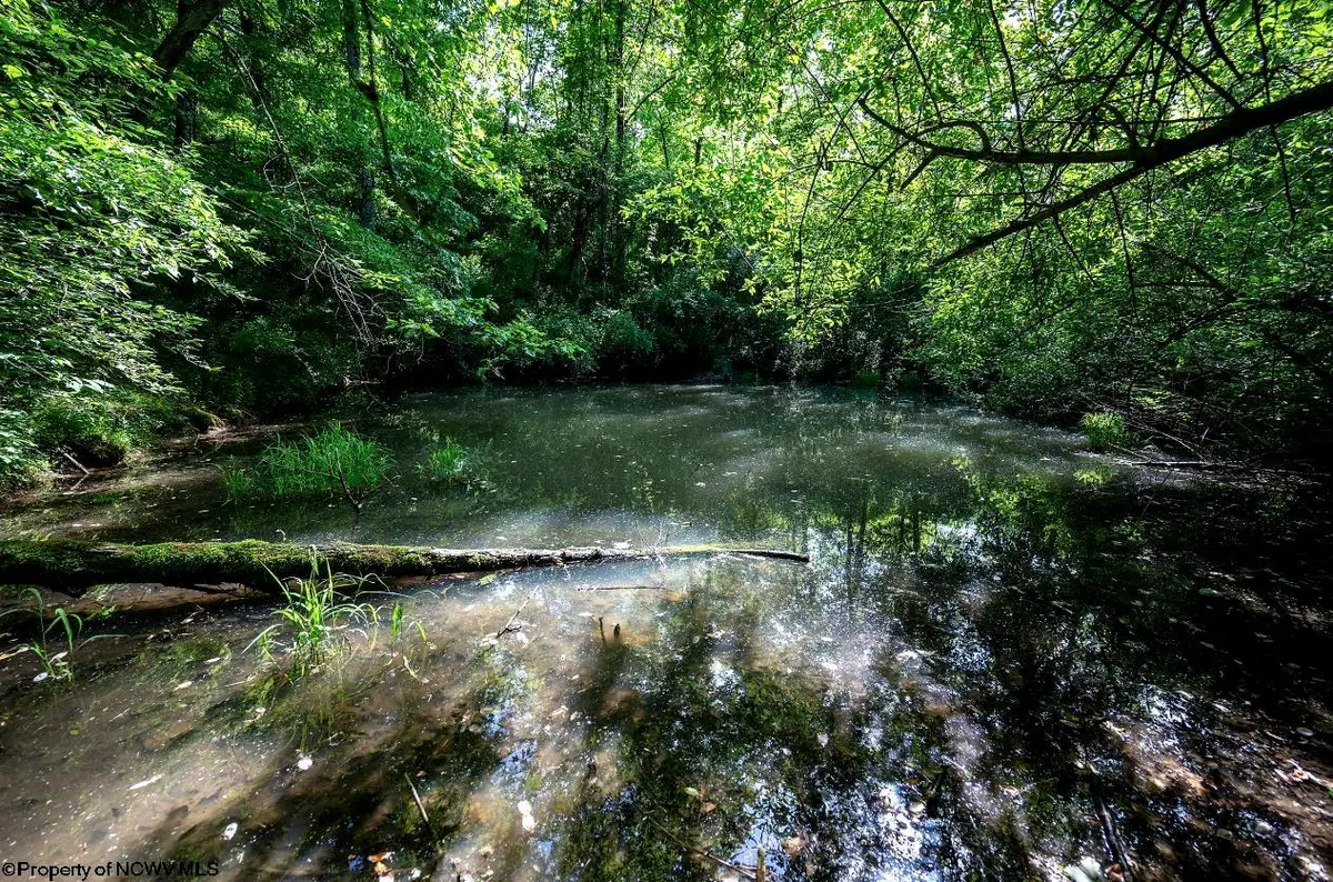 Lot 1 Hecks Run, Rivesville, WV 26588 - #1
