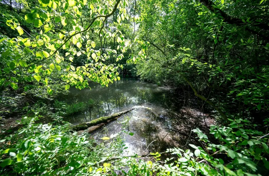Lot 1 Hecks Run, Rivesville, WV 26588 - #3