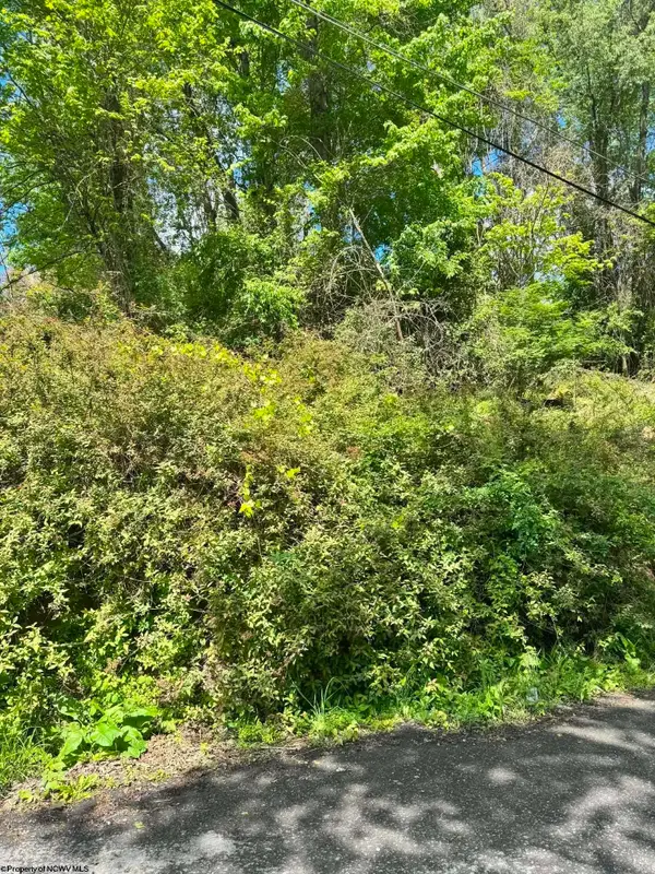 TBD Elkins Avenue, Kingwood, WV 26537