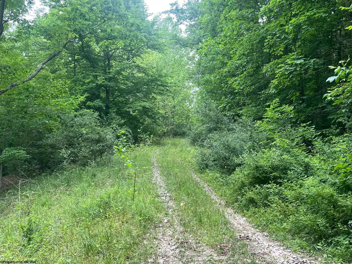 TBD Keiths Fork Road, Weston, WV 26452 - #1