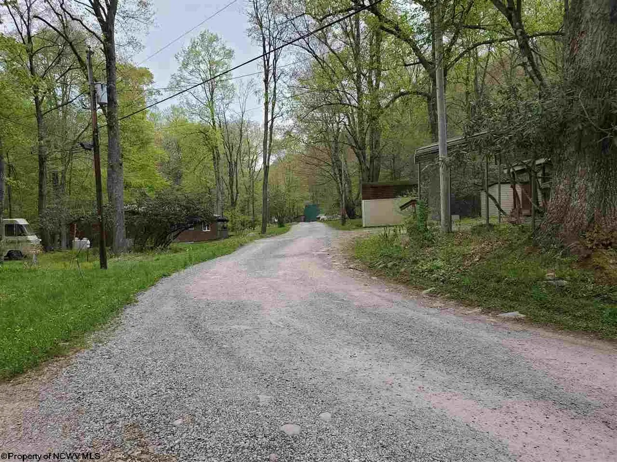 TBD Dolly Lane, Dryfork, WV 26263 - #1