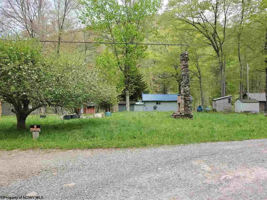 TBD Dolly Lane, Dryfork, WV 26263 - #2