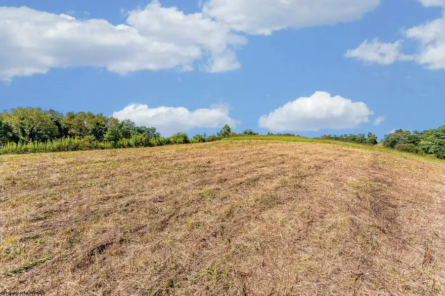 TBD Owagner Lane, Clarksburg, WV 26301 - #2