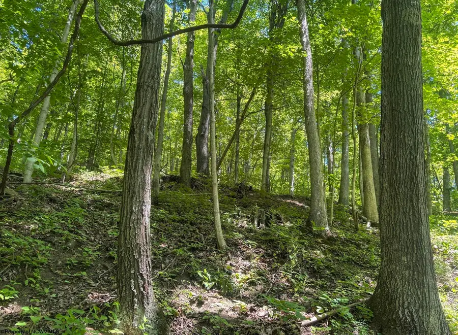 Lot 1 Ashland Ridge, Porters Falls, WV 26162 - #2