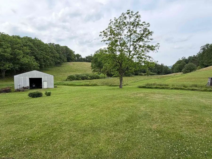 331 Snyder Road, Elkins, WV 26241 - #3