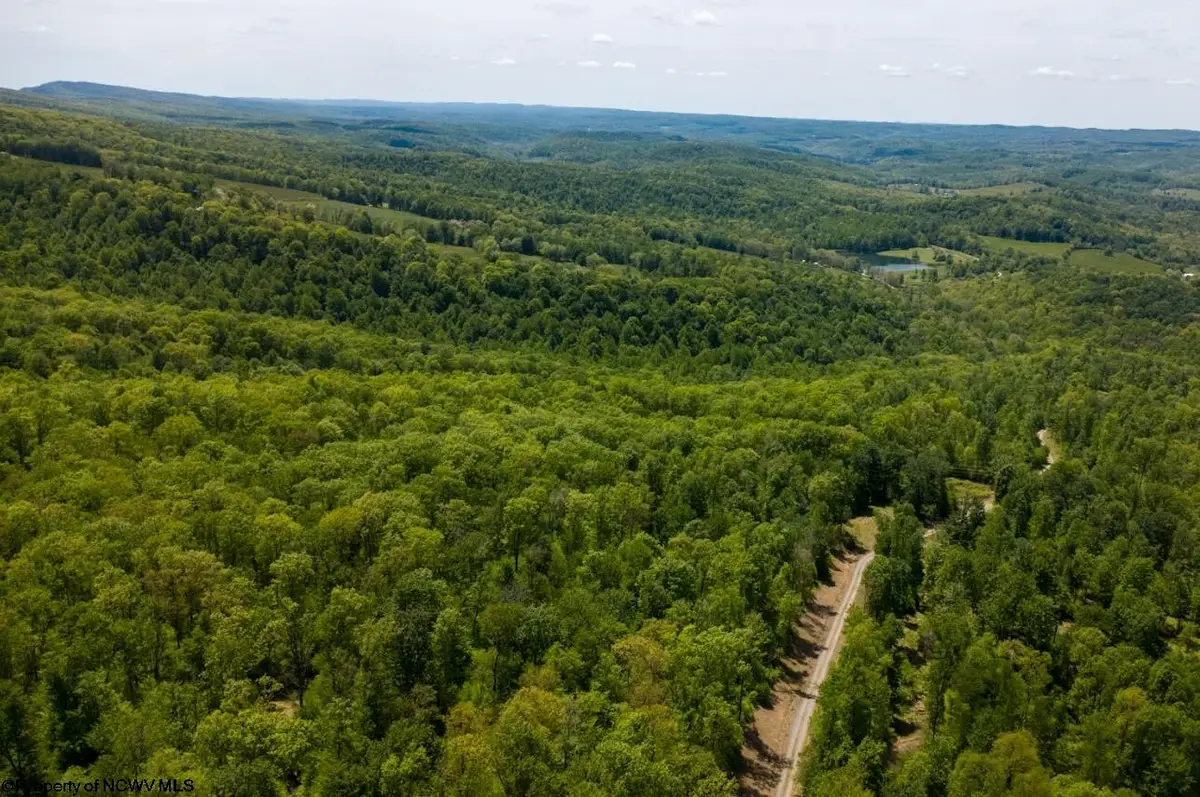 Lot 1 Laurel Mountain Road, Belington, WV 26250 - #1