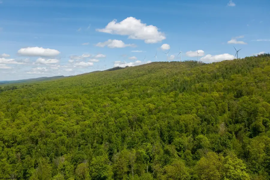 Lot 1 Laurel Mountain Road, Belington, WV 26250 - #2
