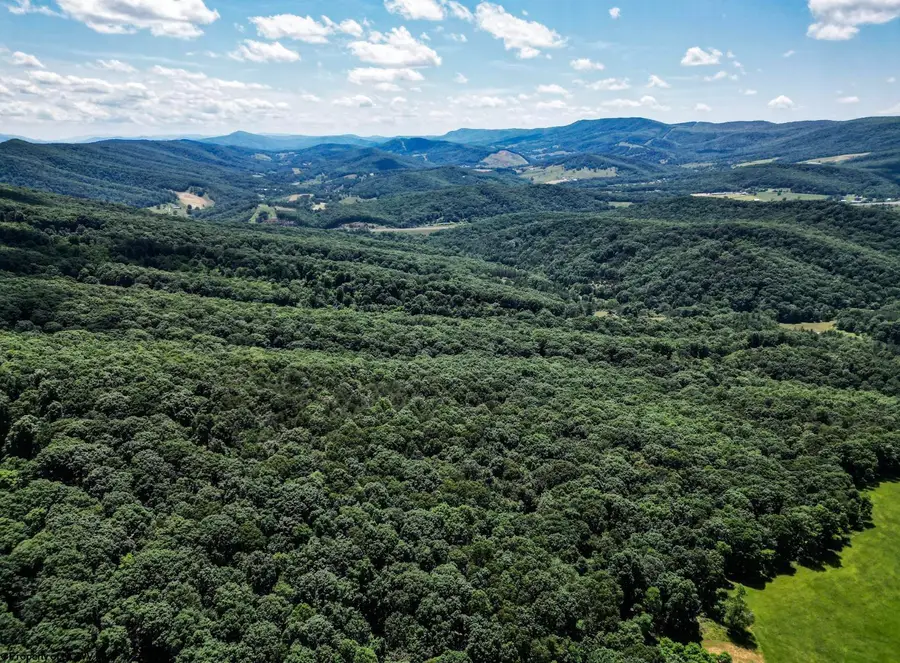 Lot 23 Long Lick Run Road, Baker, WV 26801 - #3