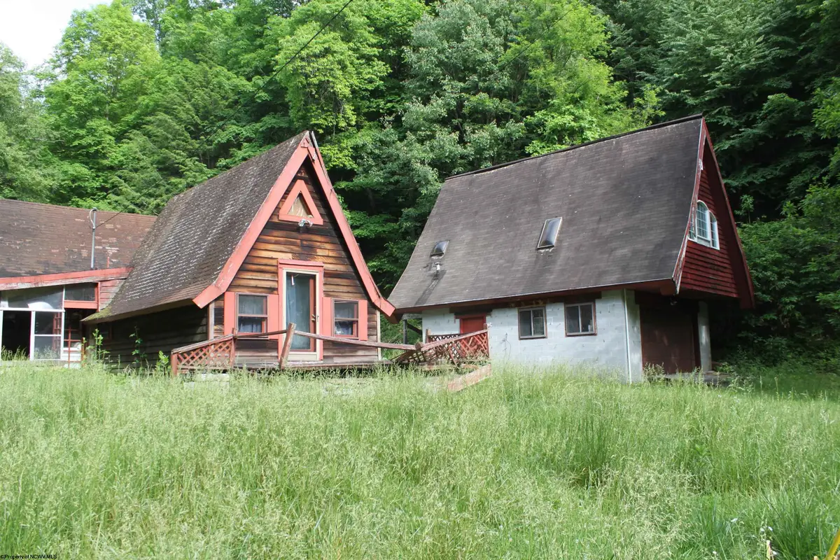 137 Hodum Creek Road, Hacker Valley, WV 26222 - #1
