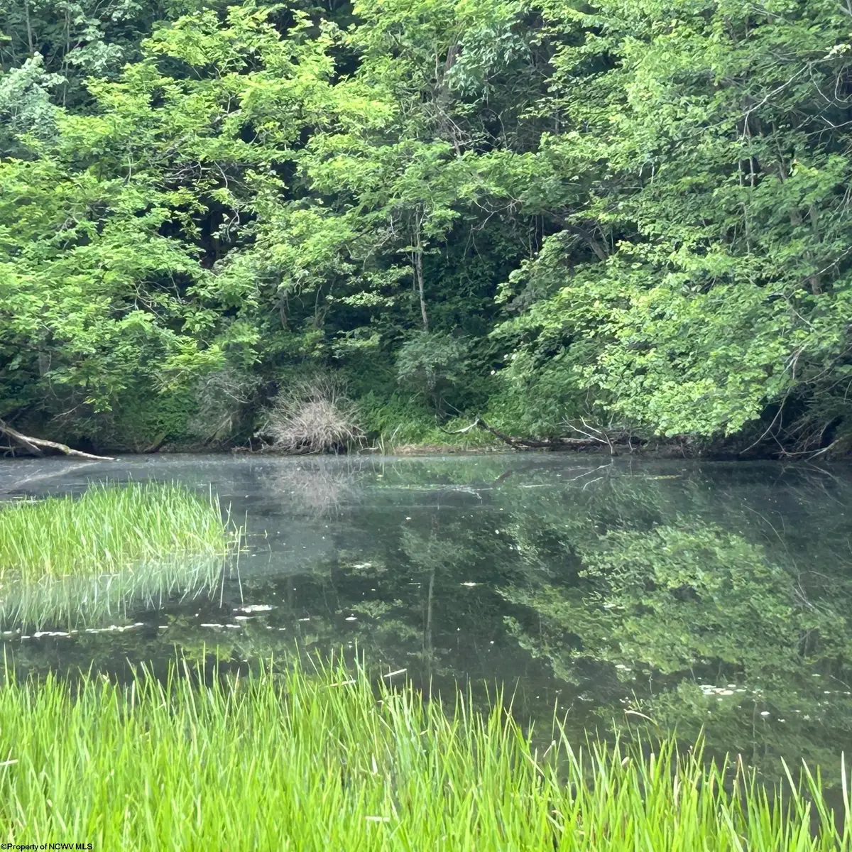 1328 Moyers Road, Bruceton Mills, WV 26525 - #1