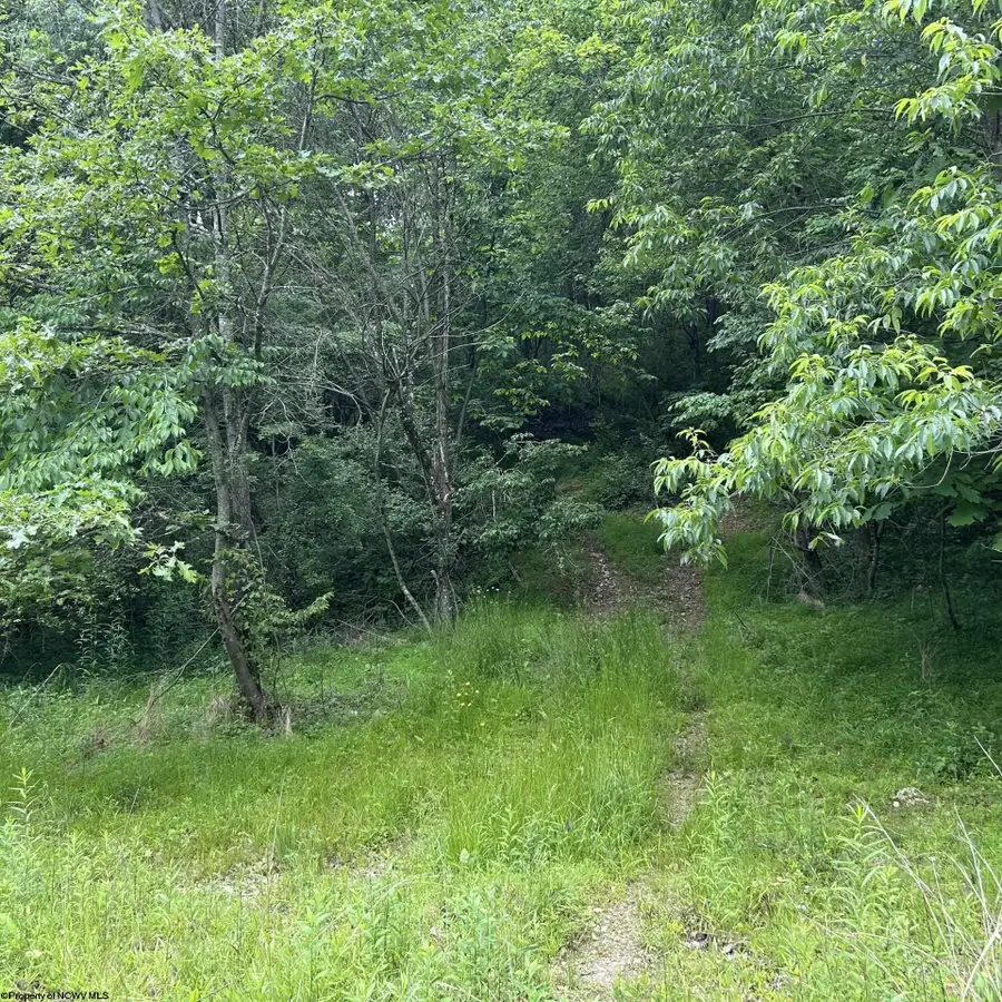 1328 Moyers Road, Bruceton Mills, WV 26525 - #2