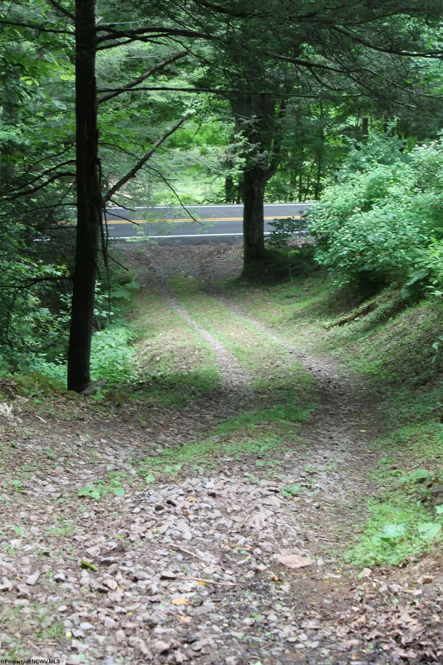 2495 Bergoo Road, Bergoo, WV 26298 - #2