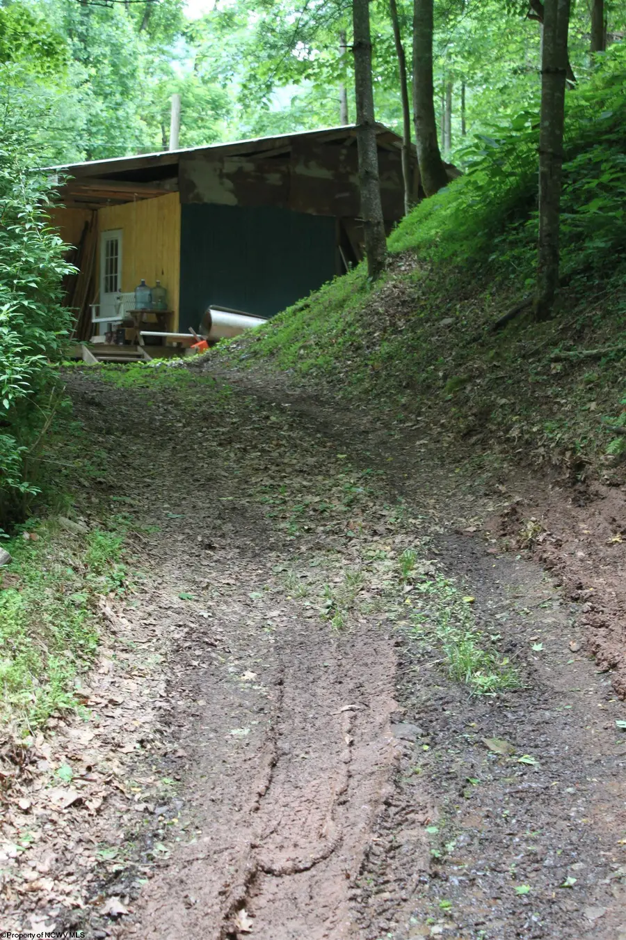 2495 Bergoo Road, Bergoo, WV 26298 - #3