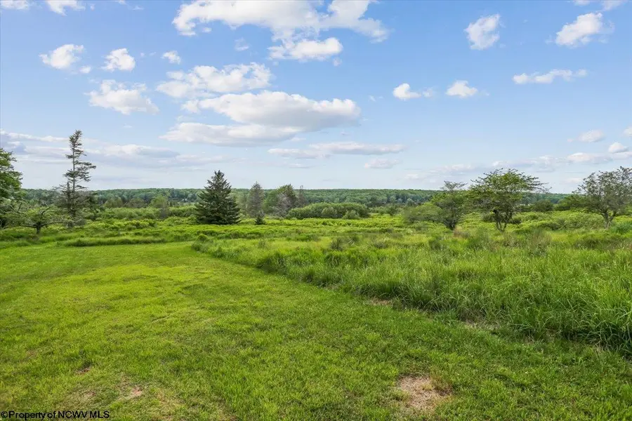 551 Sand Run Road, Davis, WV 26260 - #2