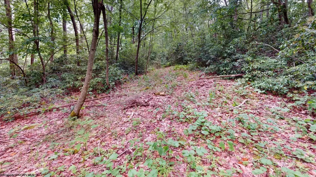 LOT 103 Redwood Drive, Terra Alta, WV 26764 - #1