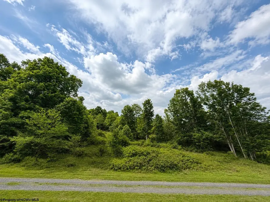 Lot 4 Iron Horse Lane, Dryfork, WV 26263 - #2