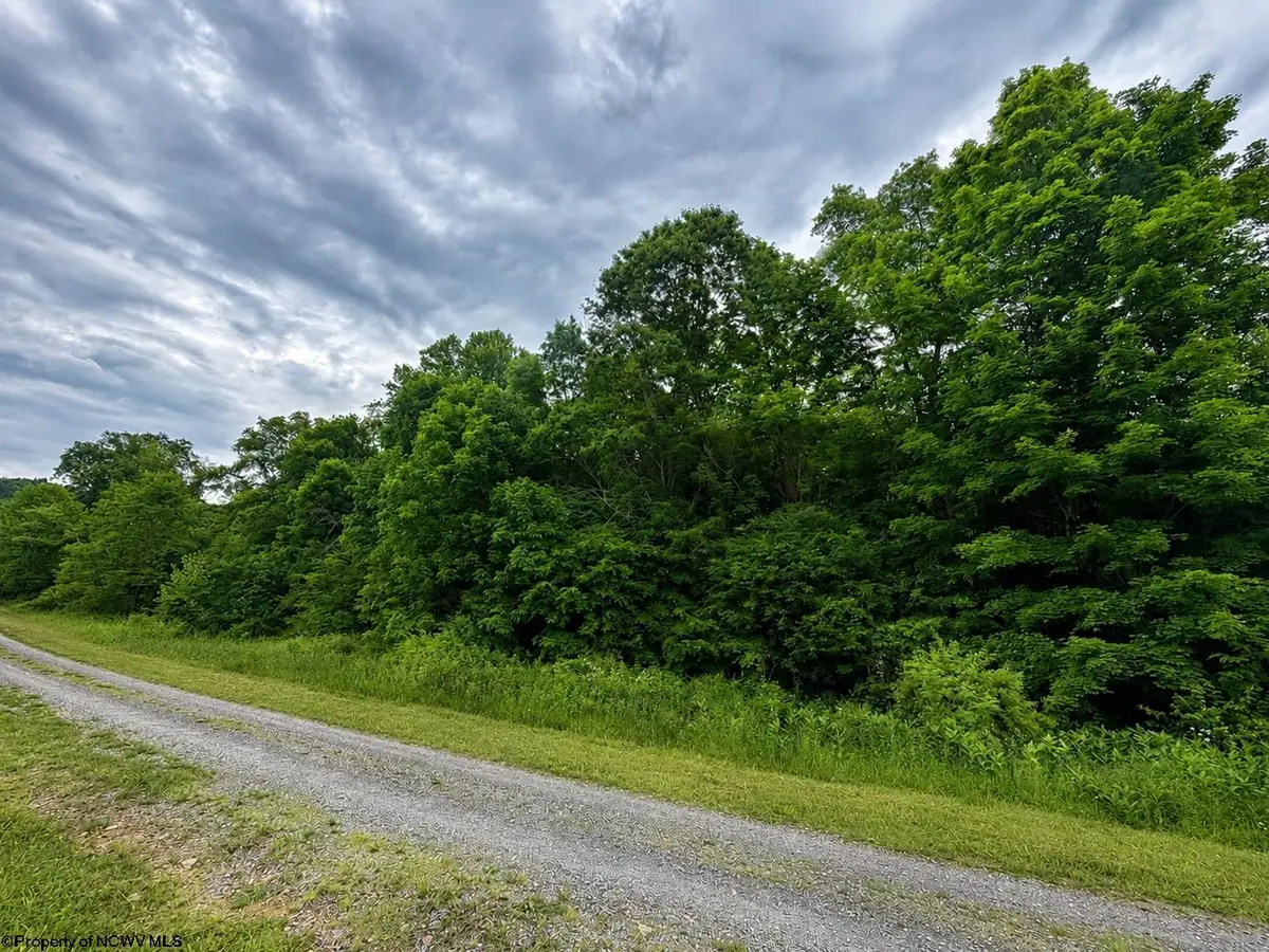 Lot 6 Iron Horse Lane, Dryfork, WV 26263 - #1