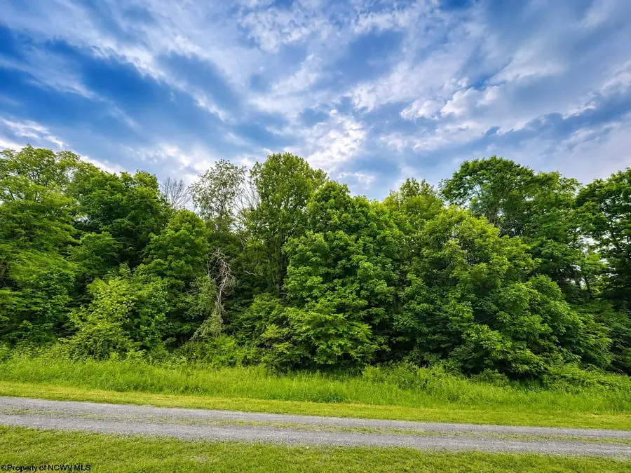 Lot 6 Iron Horse Lane, Dryfork, WV 26263 - #2