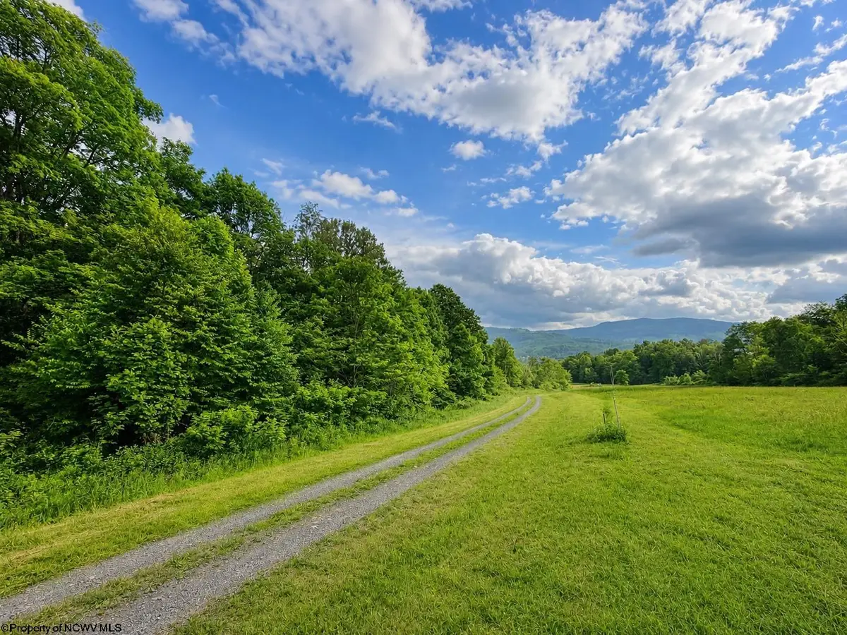 Lot 8 Iron Horse Lane, Dryfork, WV 26263 - #1