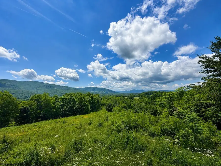 Lot 10 Iron Horse Lane, Dryfork, WV 26263 - #2