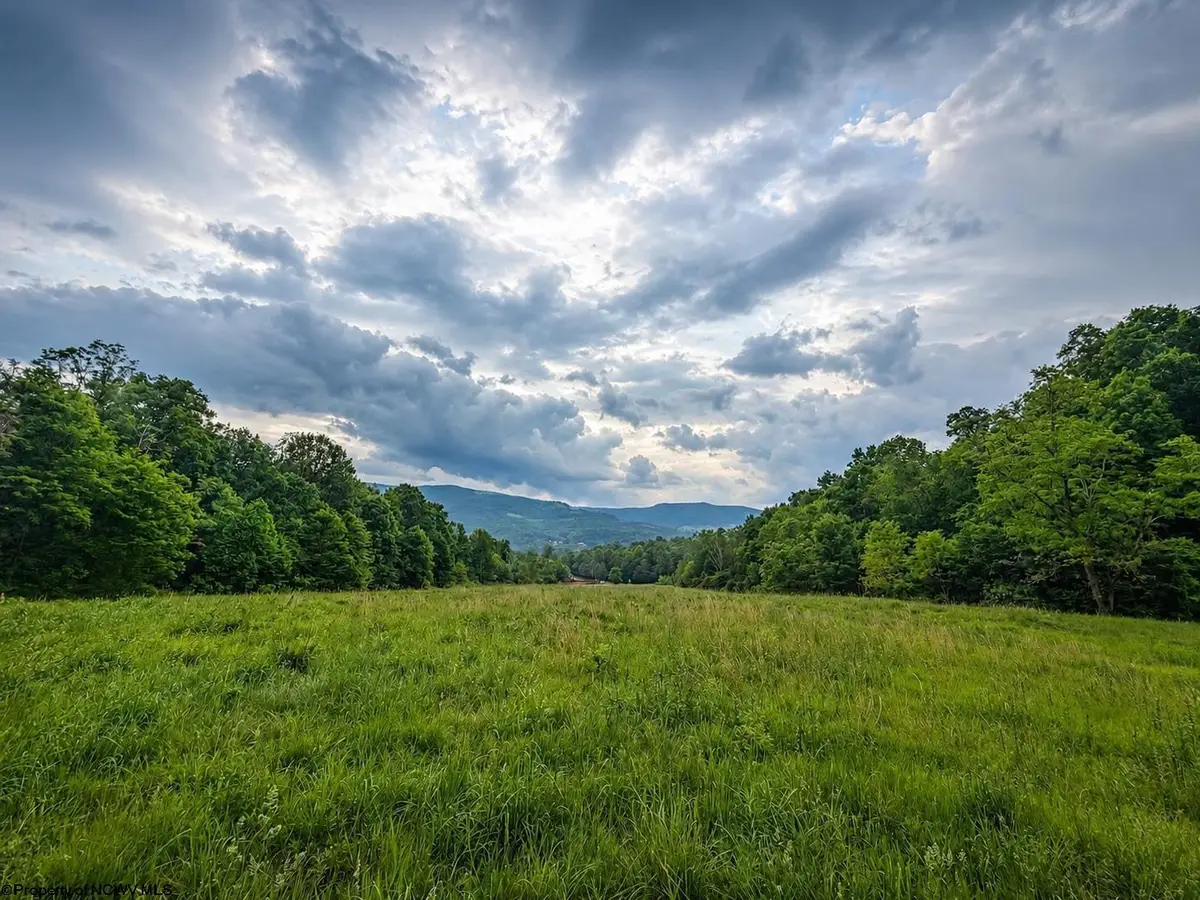 Lot 11 Iron Horse Lane, Dryfork, WV 26263 - #1